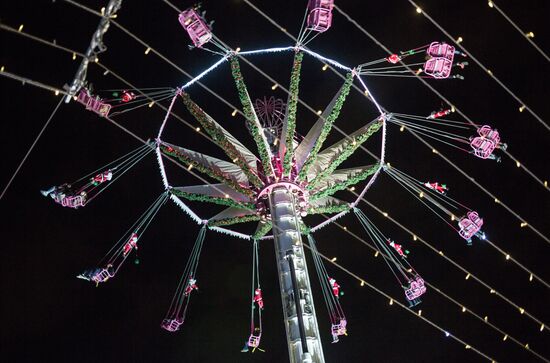 France Christmas Preparations
