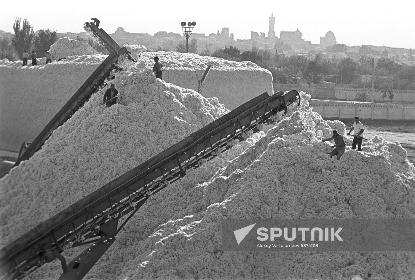 Cotton pick-up facility of Bukhara cotton gin plant