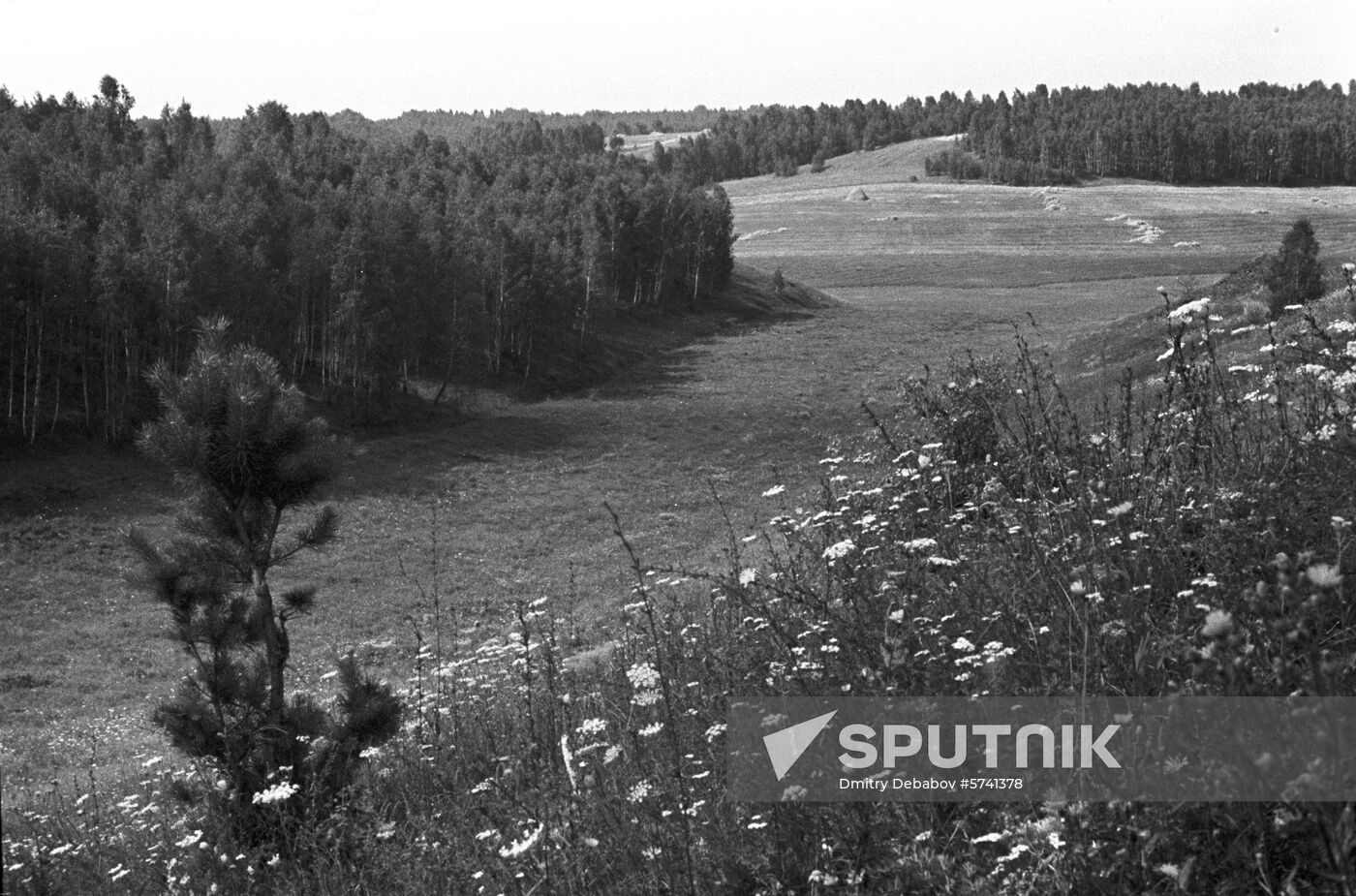 Landscapes of Bryansk Region