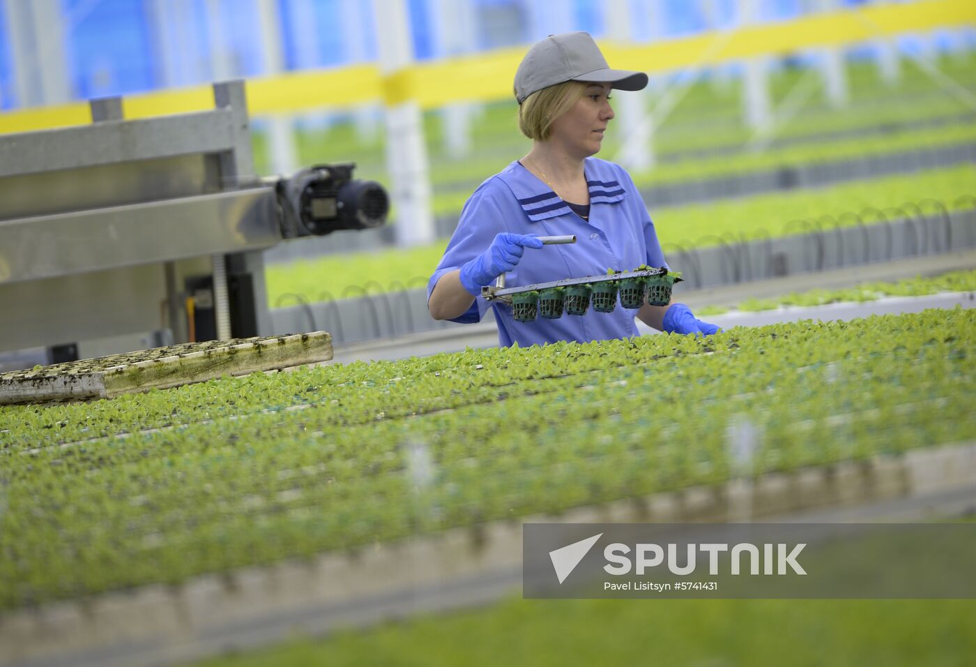 Russia New Greenhouse Complex