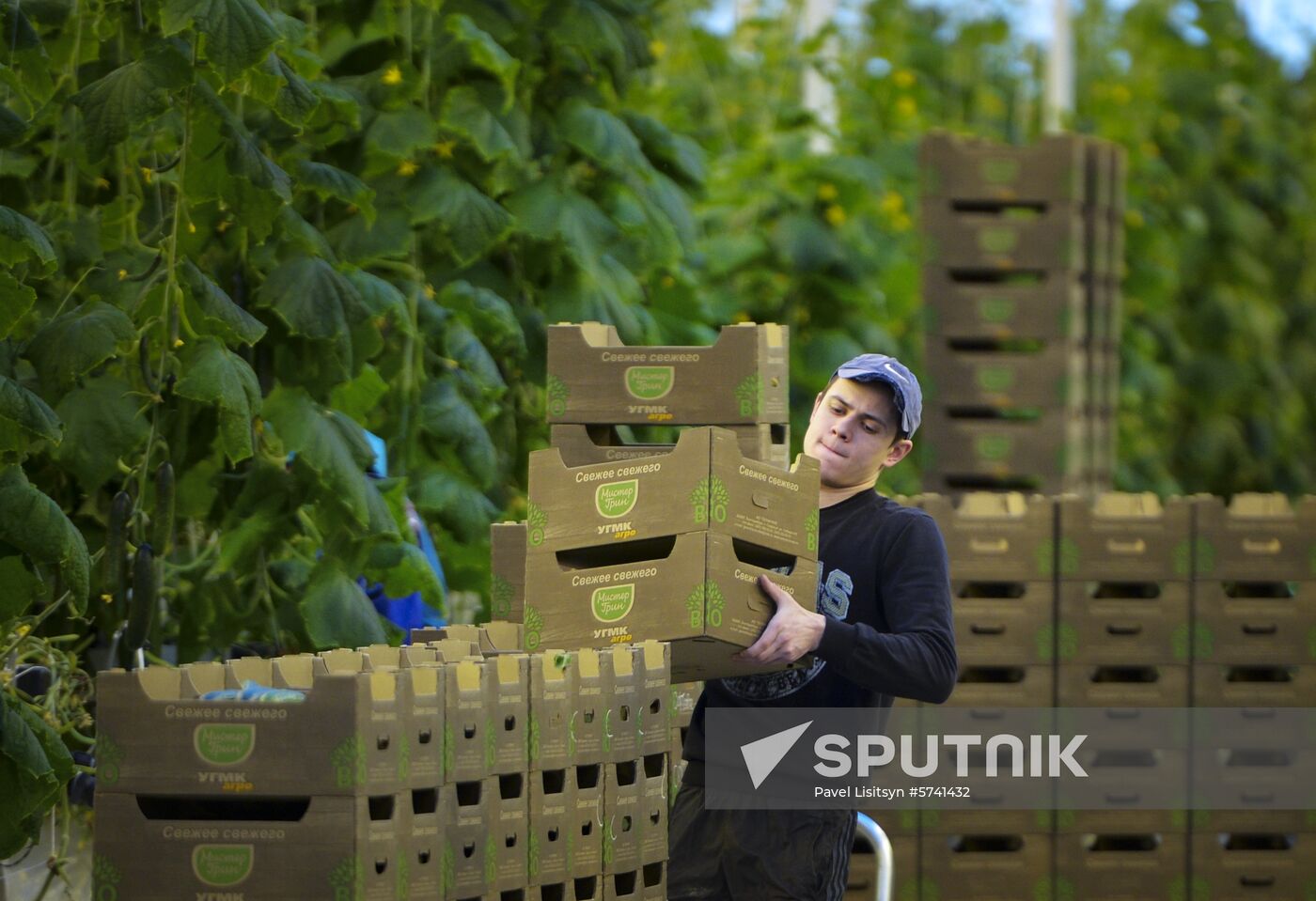 Russia New Greenhouse Complex