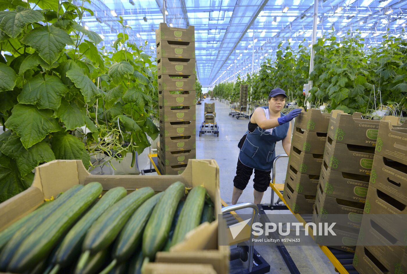 Russia New Greenhouse Complex