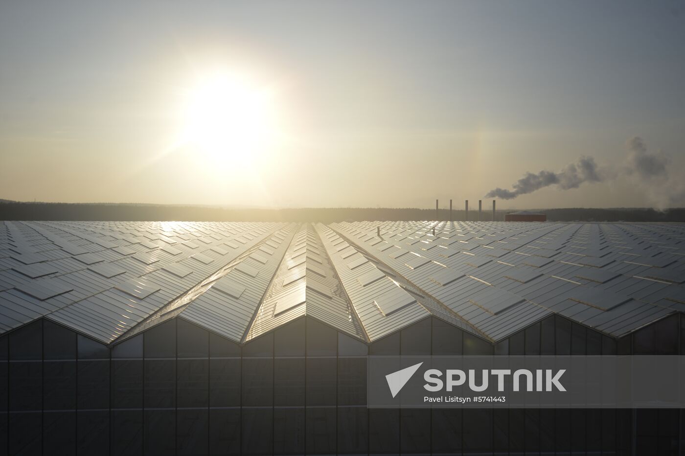 Russia New Greenhouse Complex