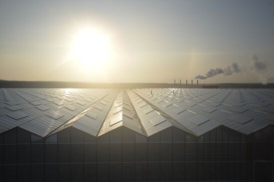 Russia New Greenhouse Complex