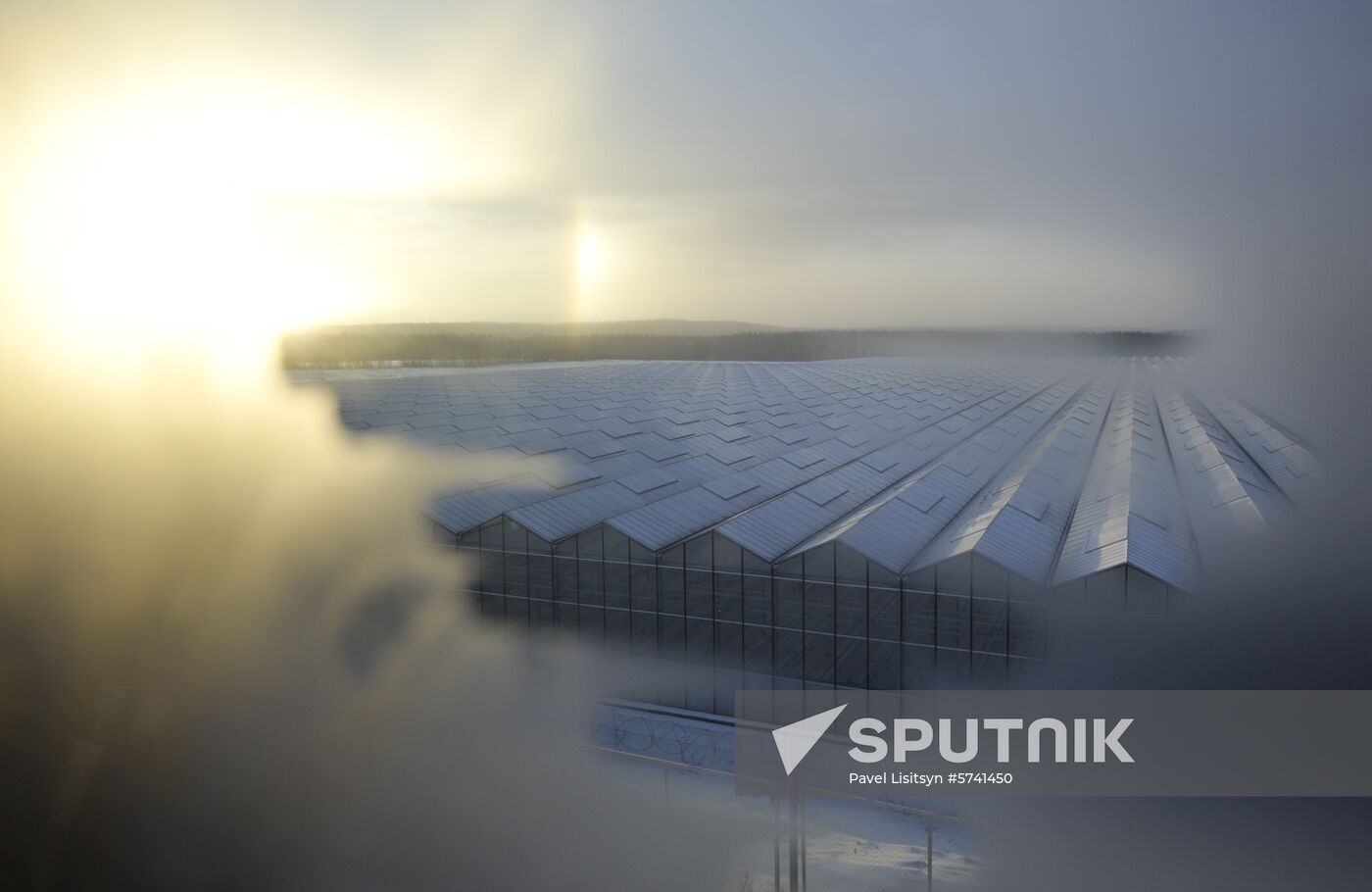 Russia New Greenhouse Complex