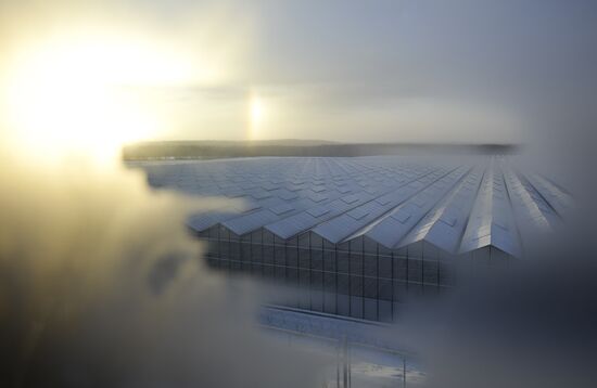 Russia New Greenhouse Complex