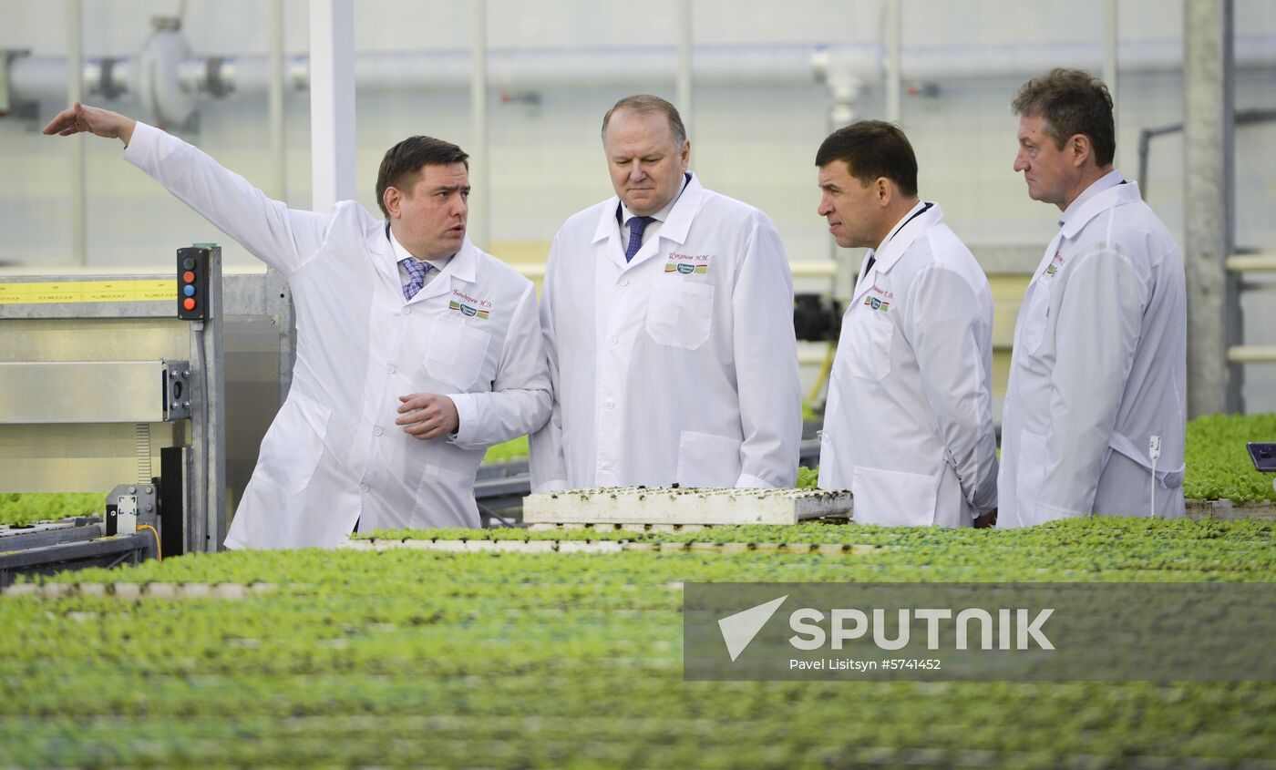 Russia New Greenhouse Complex