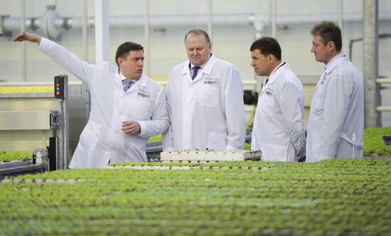 Russia New Greenhouse Complex