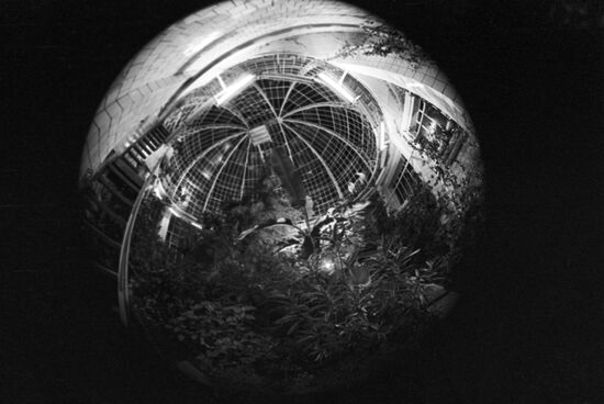 Central Botanical Garden of Ukrainian Academy of Sciences