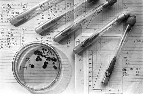 Central Botanical Garden of Ukrainian Academy of Sciences