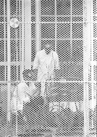 Central Republican Botanical Garden of Ukrainian Academy of Sciences