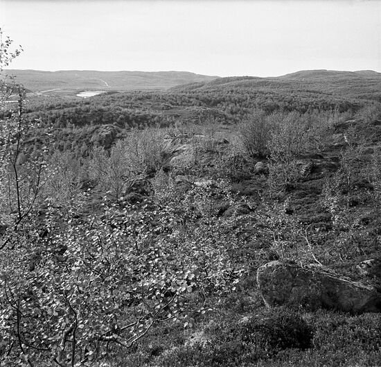 Tundra on Kola Peninsula