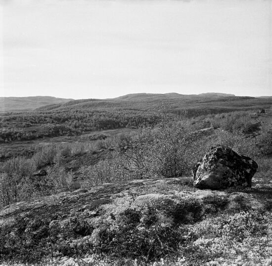 Tundra on Kola Peninsula