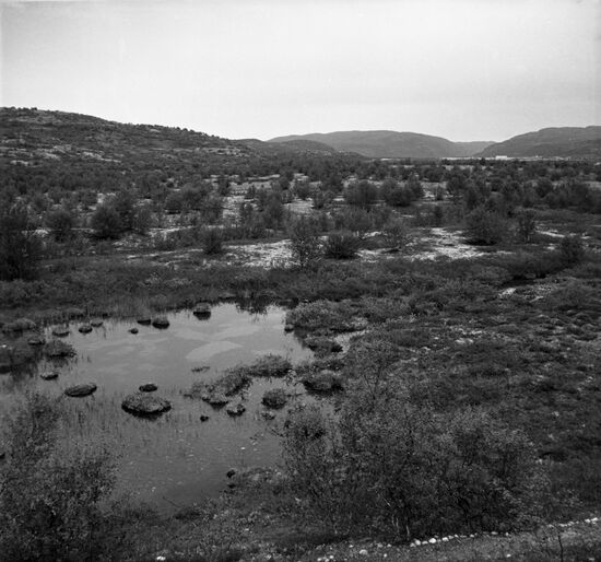 Tundra on Kola Peninsula