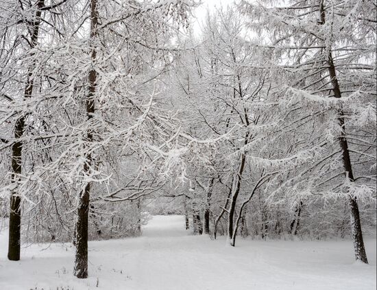 Russia Weather