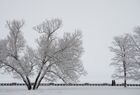 People walk along the embankment in Petrozavodsk, Russia.
Location: Russia, Petrozavodsk. Author: Igor Podgornyi/Sputnik. Russia Weather