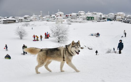 Russia Winter