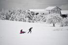 A woman carries a man on a snow tube on Mount Ai-Petri, outside Yalta, Crimea, Russia. Location: Russia, Yalta. Author: Alexey Malgavko/Sputnik. Russia Winter