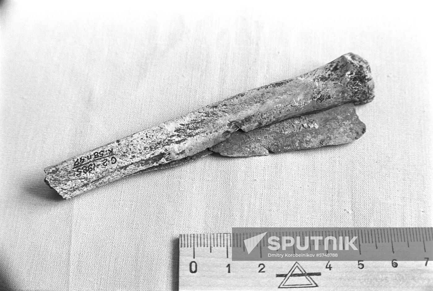 Sopka-2 archeological excavations in Baraba forest steppe