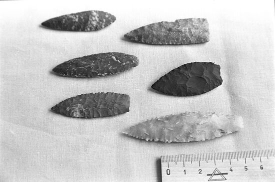 Sopka-2 archeological excavations in Baraba forest steppe