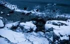 Russia Frozen Sea Shore