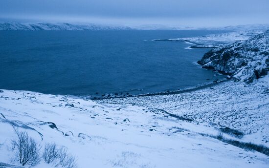 Russia Frozen Sea Shore