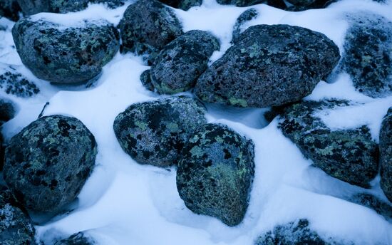 Russia Frozen Sea Shore