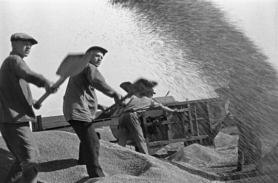 Crops harvesting