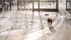 People are silhouetted against sun-lit snow as they enter the Gorky Park in downtown Moscow, Russia. Location: Russia, Moscow. Author: Olga Golovko/Sputnik. Russia Moscow Winter