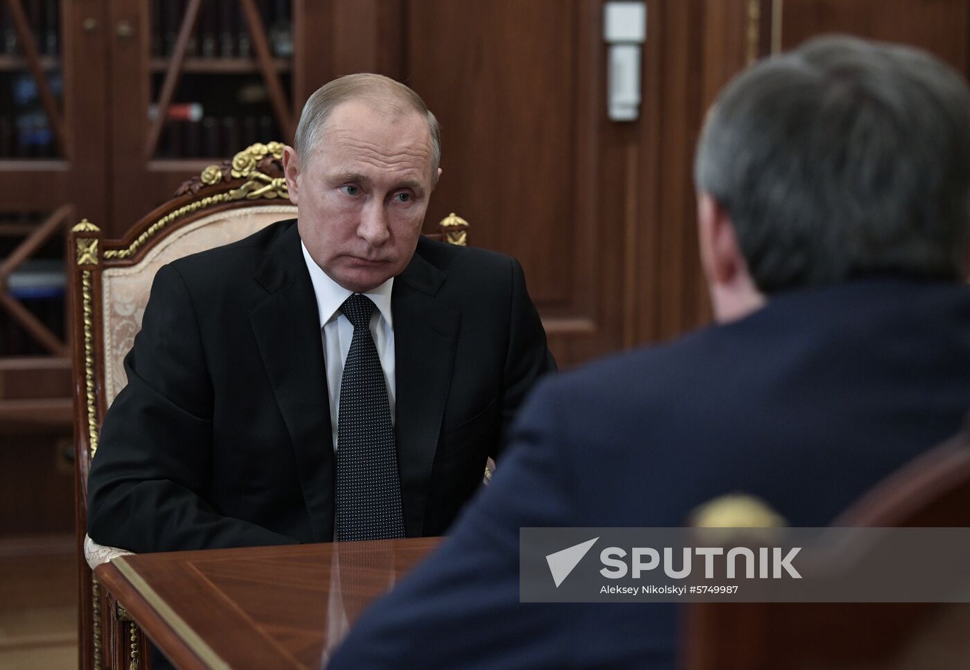 President Vladimir Putin meets with RusHydro Board Chairman Nikolai Shulginov