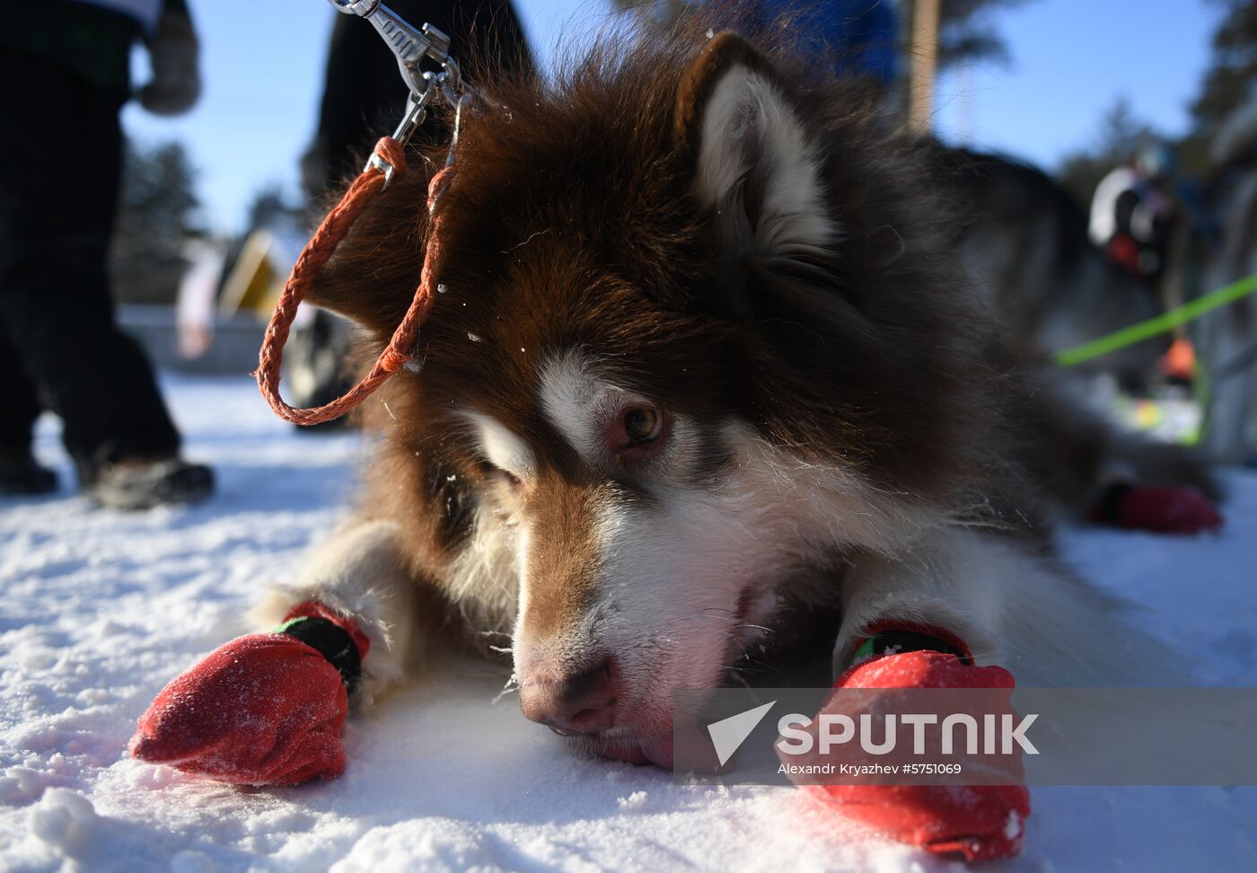 Russia Snow Riding