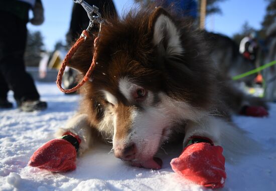 Russia Snow Riding