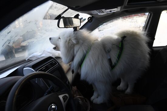 Russia Snow Riding