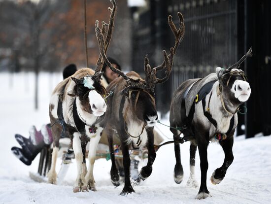 Russia Snow Riding