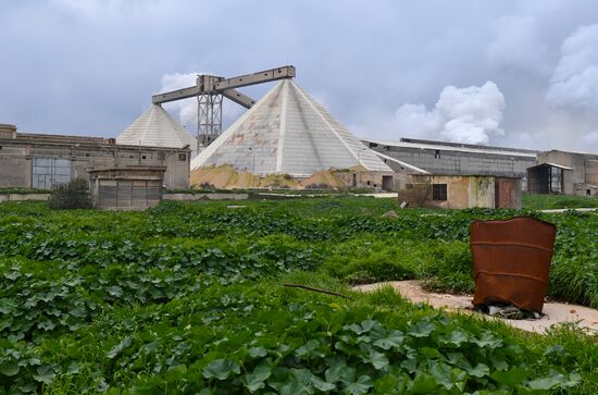 Syria Fertilizer Plant