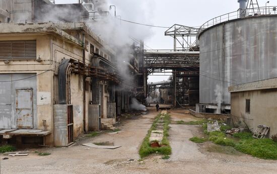 Syria Fertilizer Plant