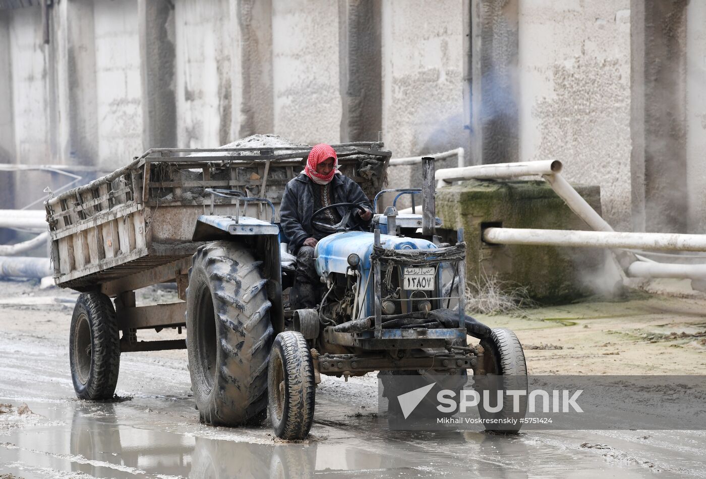 Syria Fertilizer Plant