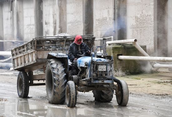 Syria Fertilizer Plant