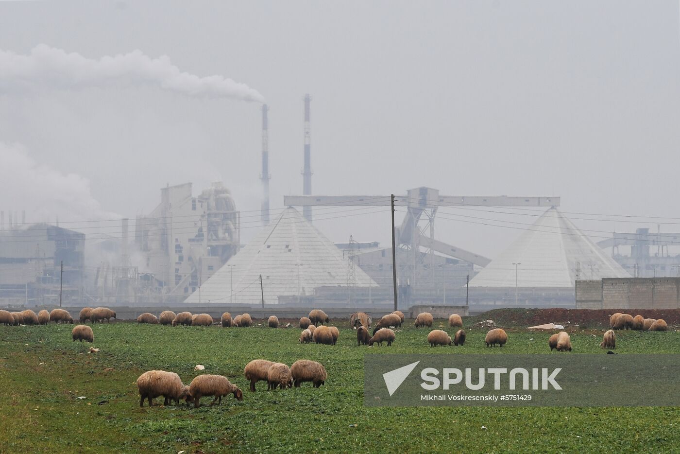 Syria Fertilizer Plant