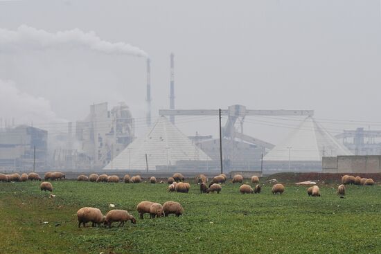 Syria Fertilizer Plant