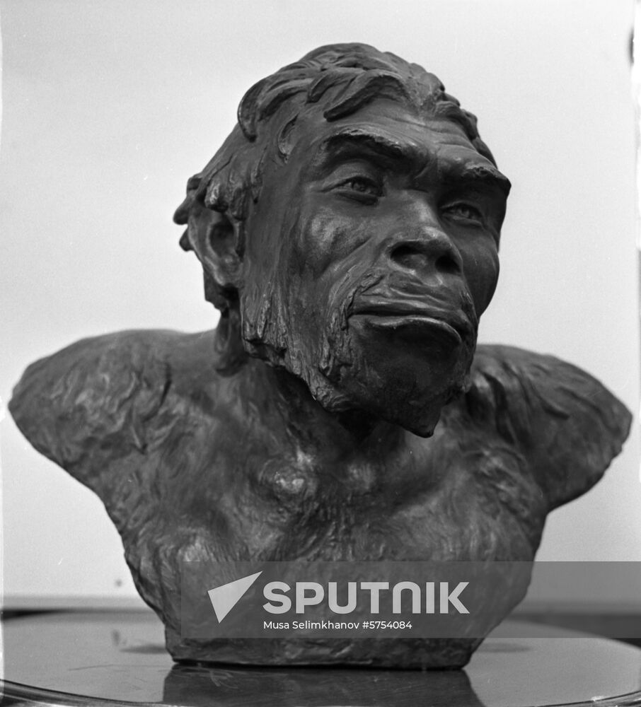 Laboratory of anthropological reconstruction