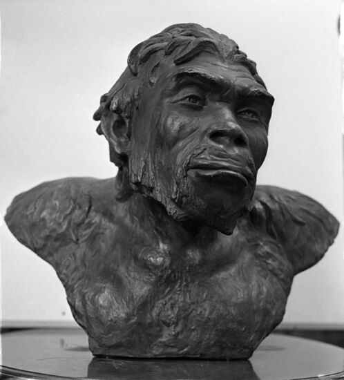 Laboratory of anthropological reconstruction