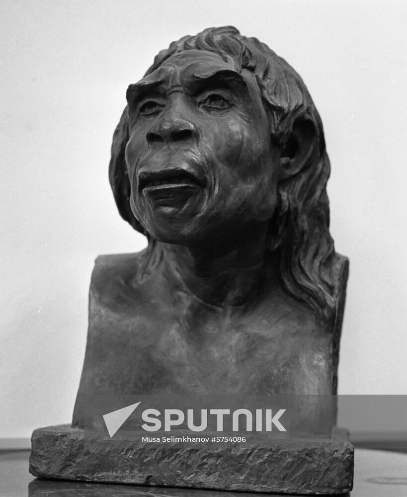 Laboratory of anthropological reconstruction