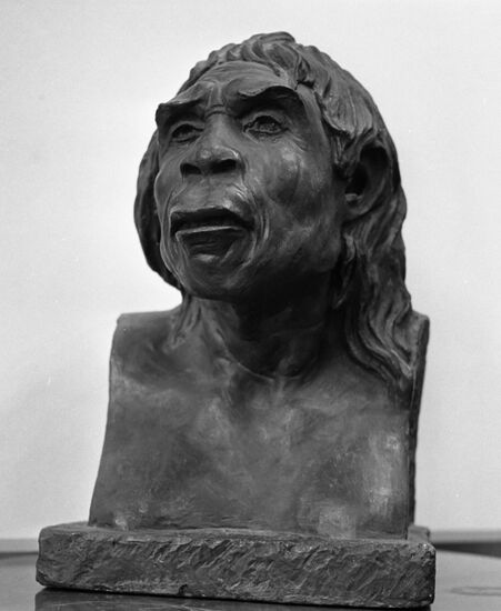 Laboratory of anthropological reconstruction