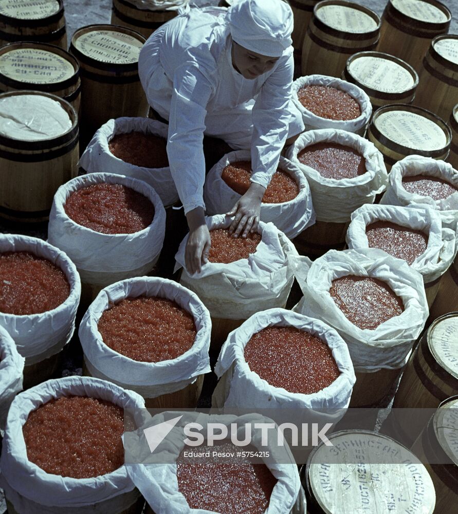 Ust-Kamchatka fish processing plant