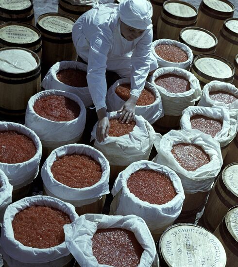 Ust-Kamchatka fish processing plant