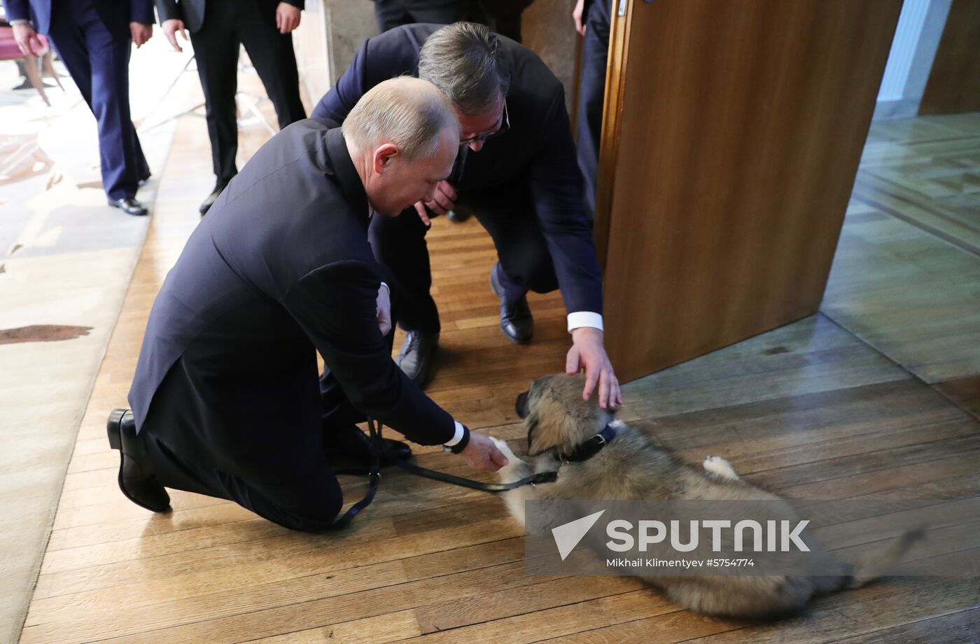 Vladimir Putin's official visit to Serbia
