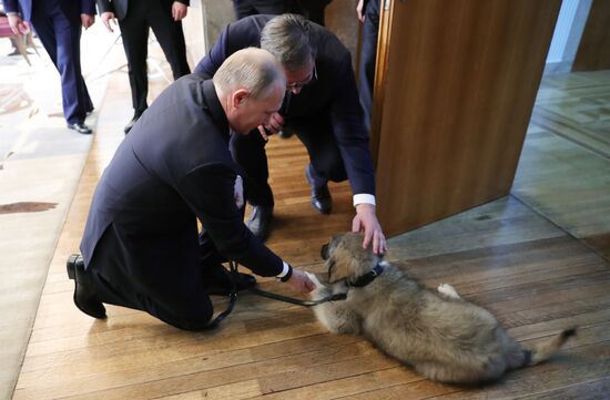 Vladimir Putin's official visit to Serbia