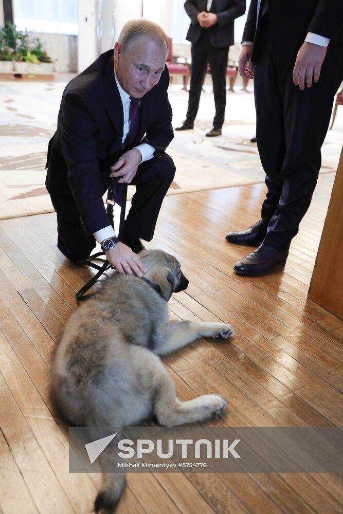 Vladimir Putin's official visit to Serbia