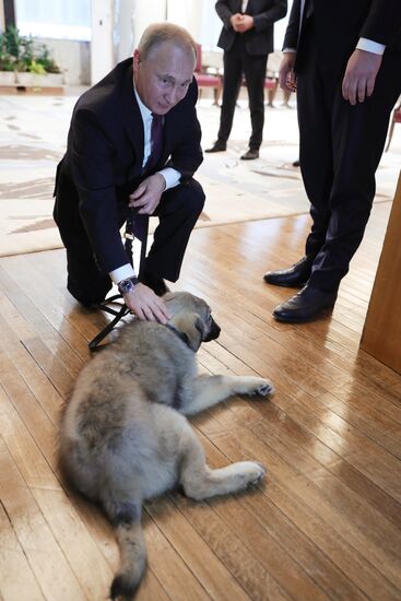 Vladimir Putin's official visit to Serbia